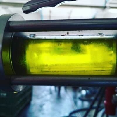 Olio novello si, olio novello no