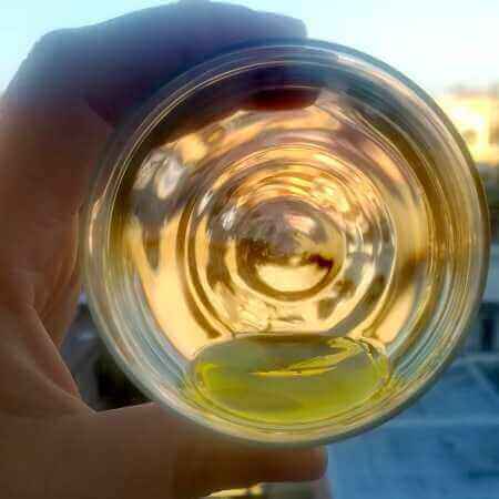 mini guida all'assaggio dell'olio extravergine