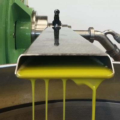 Come si fa il buon olio? | www.e-olio.it