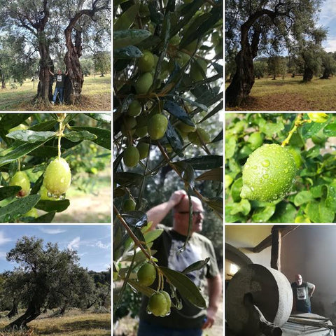 EVO tour a Rossano la bizantina | www.e-olio.it