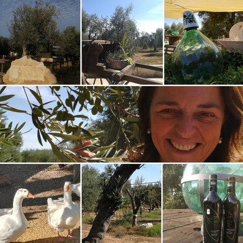 EVO tour a Trani | www.e-olio.it