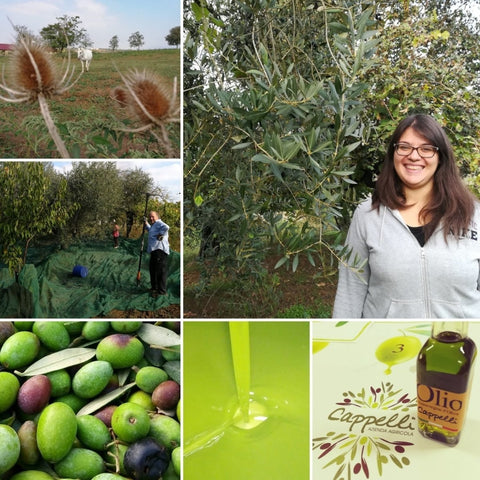 EVO tour in Sabina | www.e-olio.it