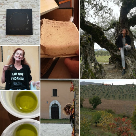 EVO tour in Umbria | www.e-olio.it