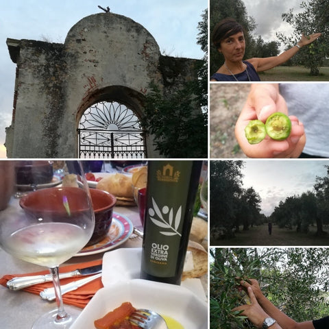 EVO tour nell'oristanese | www.e-olio.it