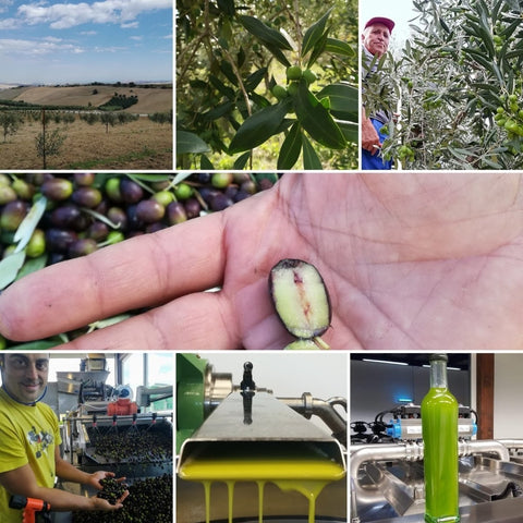 EVO tour sulle colline molisane | www.e-olio.it