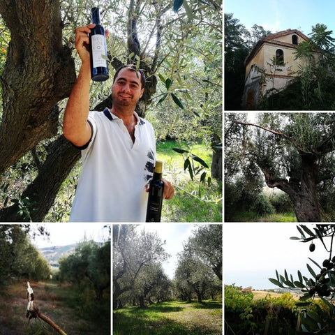 EVO tour sulle colline teramane | www.e-olio.it