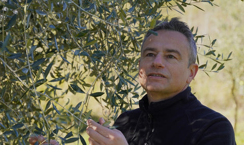 Olio Extra Vergine Oliva Fattoria Ambrosio E-olio