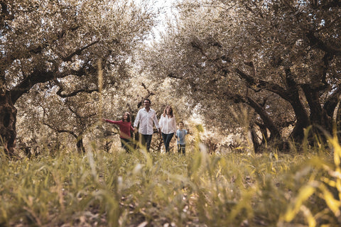 Olio Extra Vergine Famiglia Orlandi E-olio