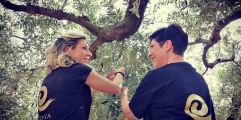 Azienda agricola EVO Sicily - e-olio