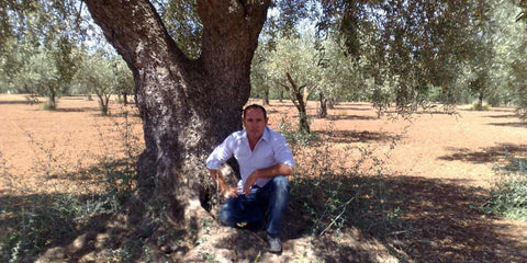 Cinque Colli - e-olio