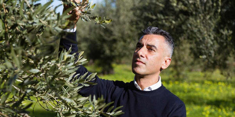 Colle San Leo - e-olio