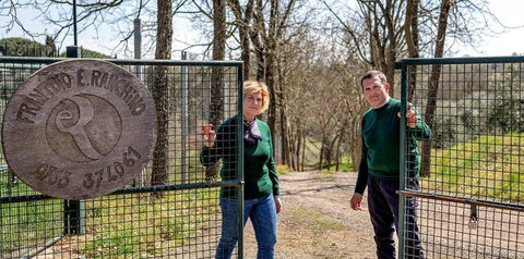 Frantoio Ranchino - e-olio