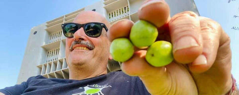 Fratelli Renzo - e-olio