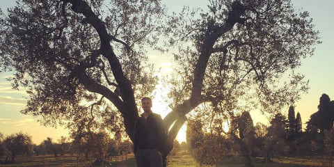 Il Felciaio - e-olio