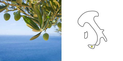 La Sicilia dell'Olio - e-olio