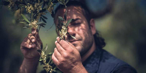 Marco Rizzo - e-olio