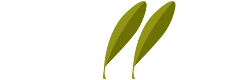 Olio extravergine deciso - e-olio