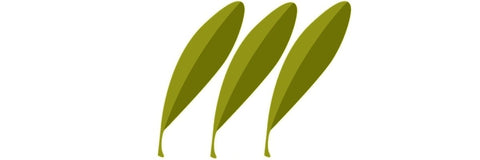 Olio extravergine intenso - e-olio