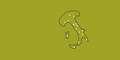 Olio Extravergine Italiano - e-olio