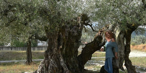 Oro di Giano - e-olio