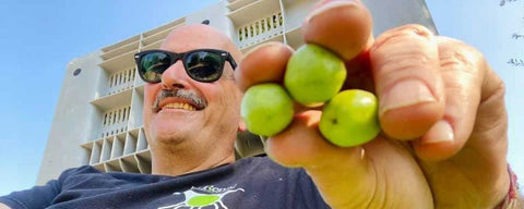 Olio Extra Vergine di Oliva Orolio Cesare Renzo Dolce di Rossano