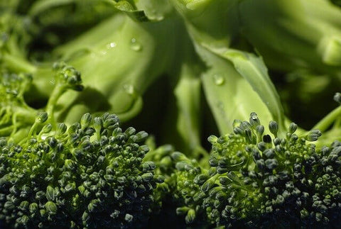 Ricette e abbinamenti con l'olio extravergine: sformato di broccolo